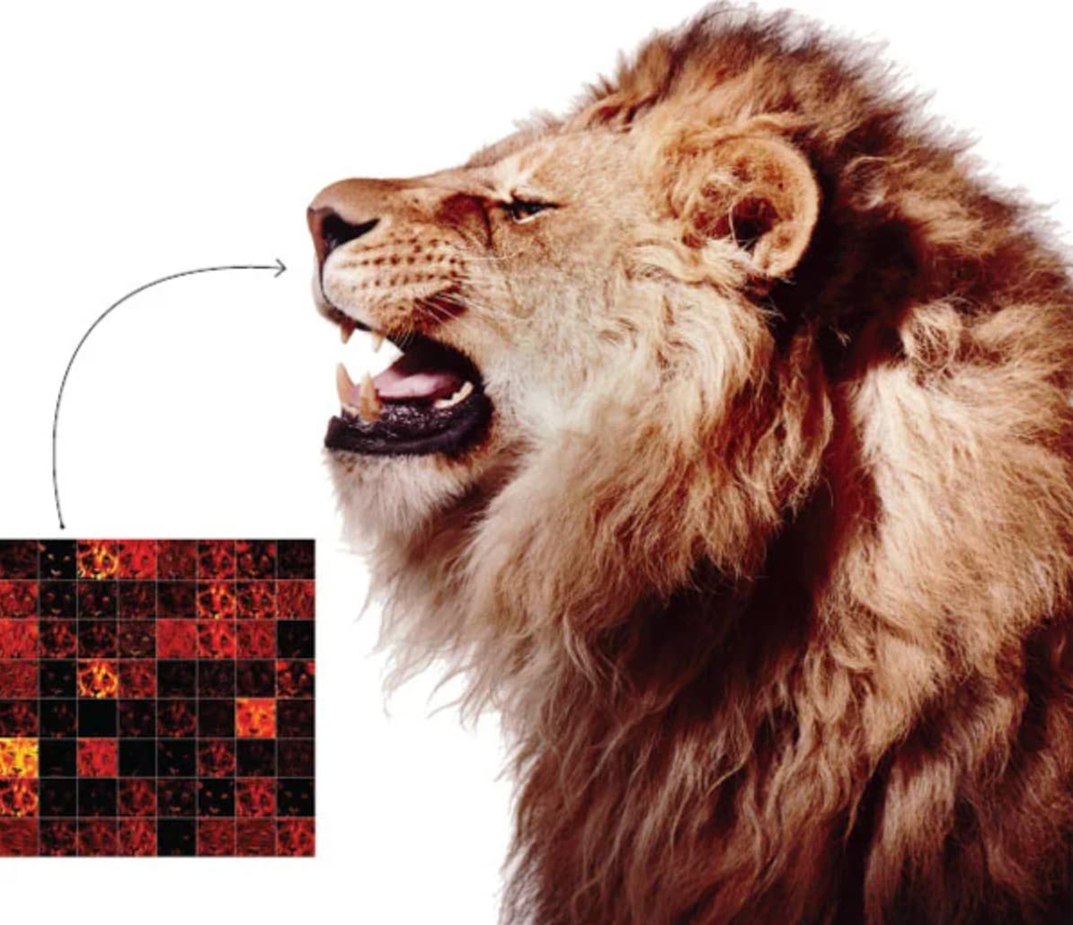 “African company Lion Guardians uses facial recognition to monitor 1000+ Lions' mating, feeding and changes to population dynamics caused by human expansion among other things.”